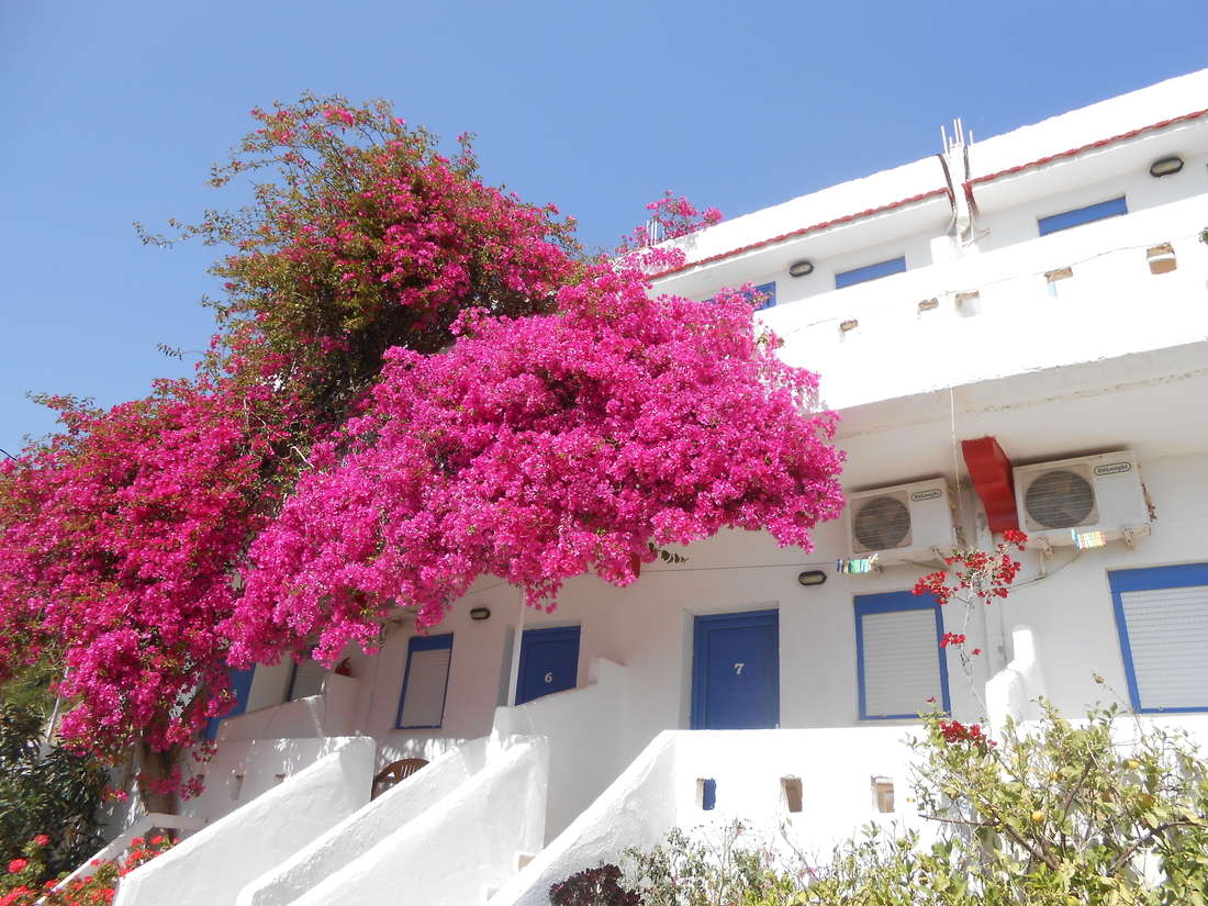 Webp.net-resizeimage (9).jpg